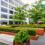 commercial landscaping in Auckland