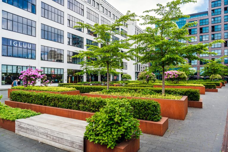 commercial landscaping in Auckland