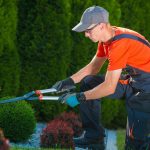 Learn About the Most Reputable Landscapers in Victoria, British Columbia