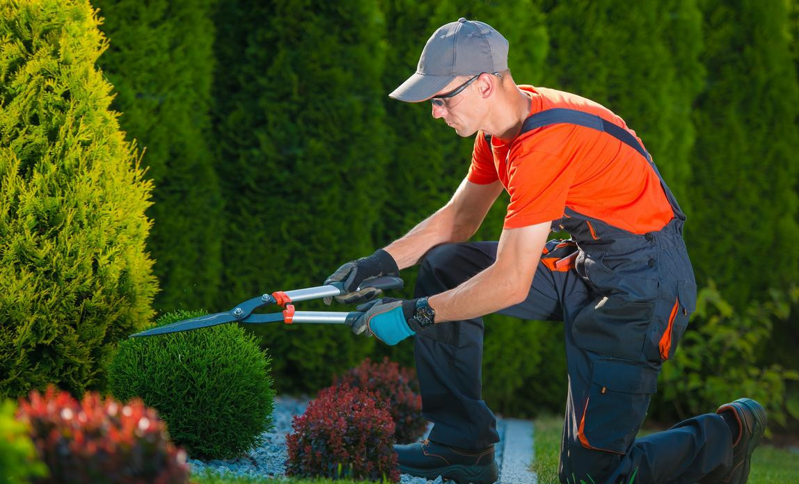 Learn About the Most Reputable Landscapers in Victoria, British Columbia