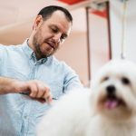 In-Home Pet Care