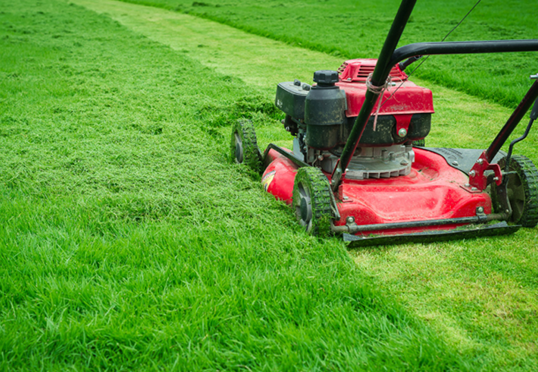 Seasonal Lawn Maintenance Plans for Residential Properties in West Chester Ohio